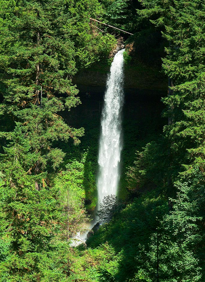 Silver Creek North Falls in the Distance - Silver Falls State Park