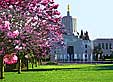 0513 Salem Capitol with Spring Blossoms