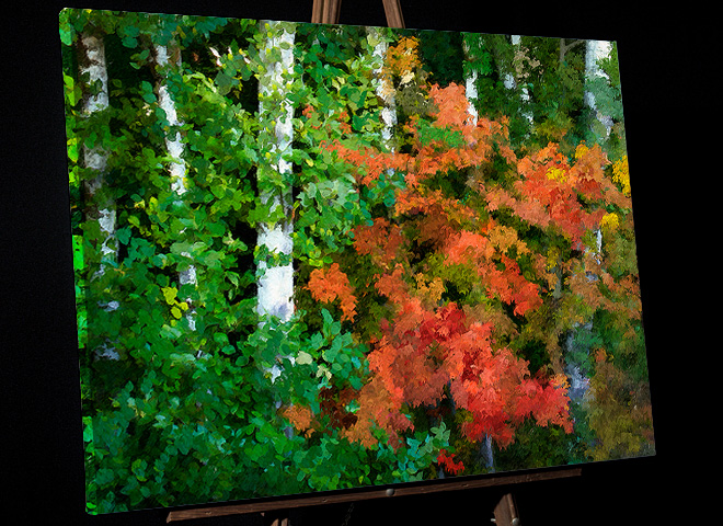 Painting of Alders and Vine Maple in Oregon Coast Range for sale as canvas, framed print or file