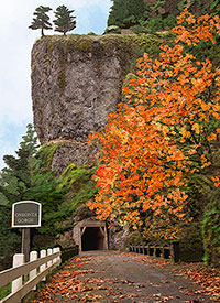 Oneonta Tunnel - Columbia Gorge National Scenic Area