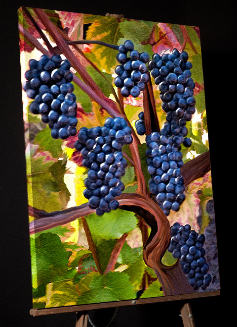 Oregon Autumn Painting of purple Sokol Blosser Pino Noir Wine Grapes ready to pick