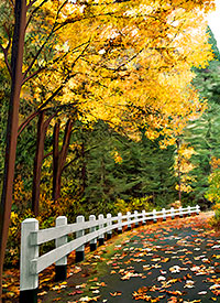 Starvation Creek Trail made from Old Historic Columbia Gorge Highway