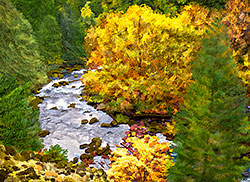 Willamette Pass; North Fork of the Willamette River