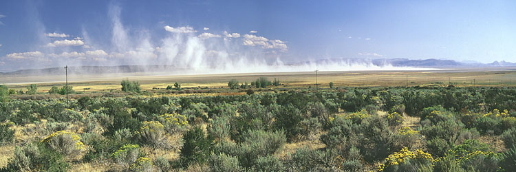 Oregon's Basin Range; Dust Storm on the Alvord Desert