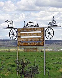 Quarter Horses for Sale near Burns