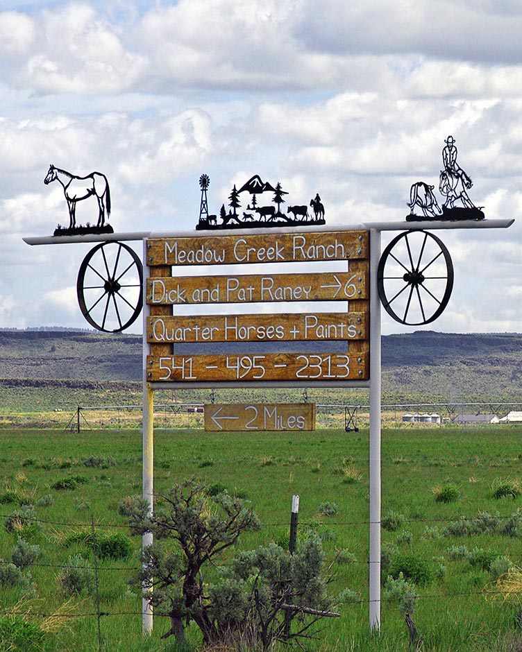 Oregon Basin Range  Quarter Horses for Sale near Burns