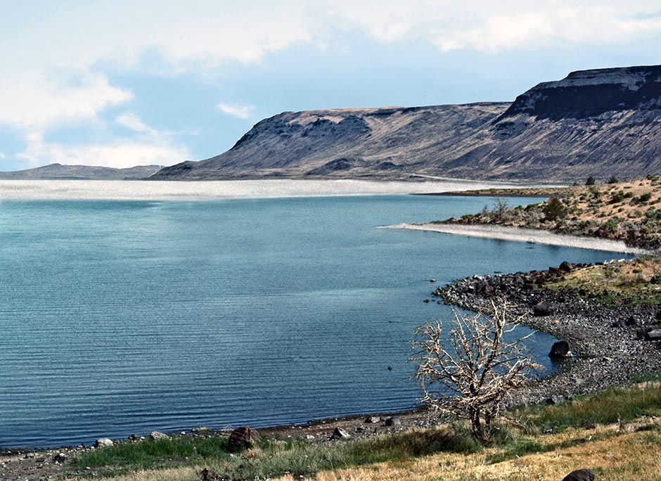 Lake Abert is too salty for fish but migratory fowl eat brine shrimp