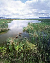 Summer Lake of Oregon's Basin Range