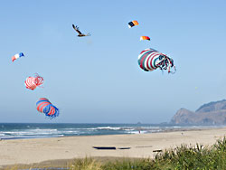 Kite Festival at Lincoln City