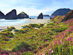 Haystacks on the Southern Oregon Coast