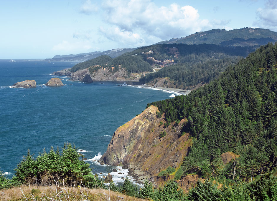 Whaleshead Viewpoint in Samuel H Boardman State Park