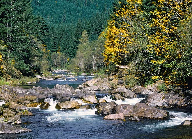 Oregon Cascades pictures - Aufderheide Scenic Byway North Fork of the Willamette River 