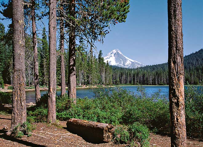 Oregon Cascades pictures - Mt Hood at Frog Lake Mt Hood National Forest