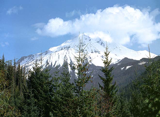 Oregon Cascades pictures - Mt Jefferson Near Sisters sold as framed photo or canvas