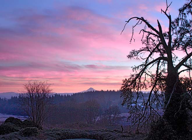 Oregon Cascades pictures - Mt Hood Morning Sky sold as framed photo or canvas
