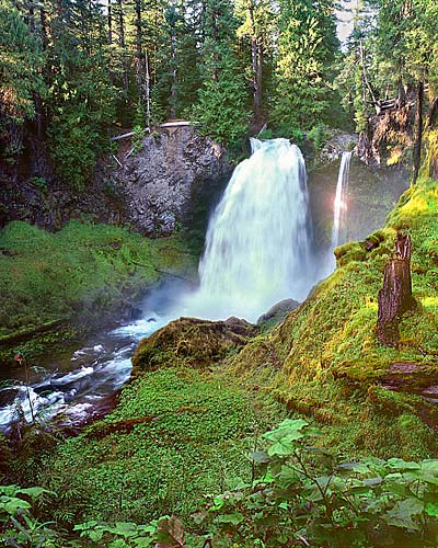 Oregon Cascades pictures - Sahalie Falls on the McKenzie River sold as framed photo or canvas