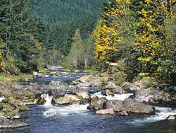 Auferderheide National Forest Scenic Byway