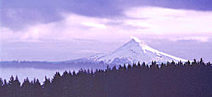 Mt Hood from Sherwood