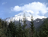 Mt Jefferson near Sisters