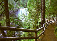 Koosah Falls on the McKensie River