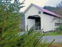 1281 Horse Creek Covered Bridge across Myrtle Creek 43°01'23.7"N 123°17'23.2"W