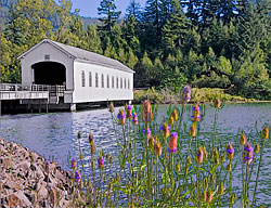 1275 Lowell Covered Bridge over Dexter Reservoir, Eugene 43°54'32.7"N 122°46'45.9"W