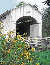 1263 Mosby Creek Covered Bridge, Cottage Grove, OR 43°46'41.7"N 123°00'17.2"W