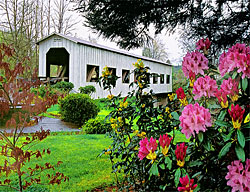 1278 Centennial Covered Pedestrian Bridge over Willamette River, Cottage Grove, OR