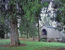 1280 Pass Creek Covered Bridge, Drain OR 43°39'38.8"N 123°18'59.5"W