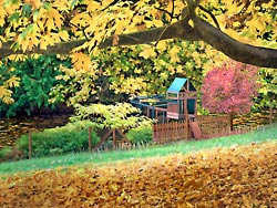 Autumn leaves by a pond with play structure