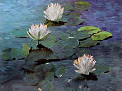 Painting of three water lilies