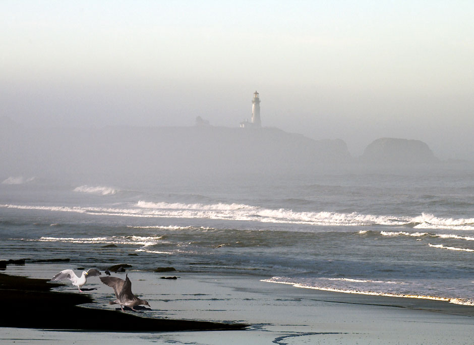 Sea Gulls by foggy Yaquina Head Light, 93 foot tower; 1873