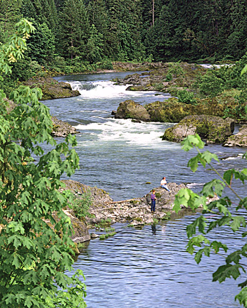 Oregon river pictures - Umpqua River photos - Fishermen on the Umpqua River; Douglas County