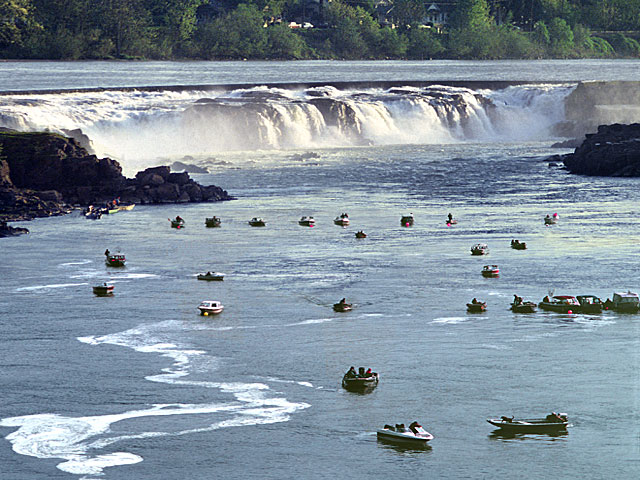 Oregon river pictures - Willamette River fishing boats; Oregon City, OR