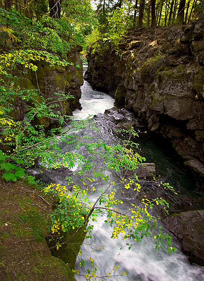 Oregon river pictures - Rogue River Gorge photos - River Panorama