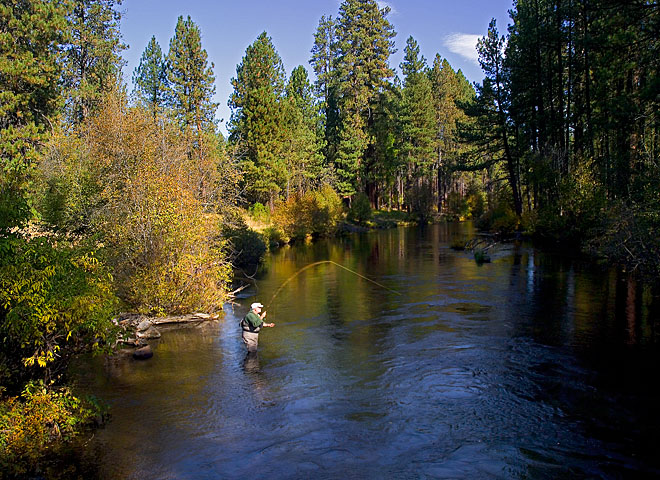 Metolius River Fly Fishing photo;  Oregon river pictures sold as framed art, canvas or digital files