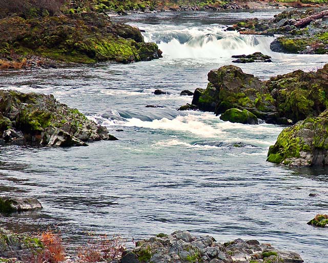 Rapids on the Umpqua River; Oregon river pictures; Douglas County picture sold as framed art or canvas or digital Files