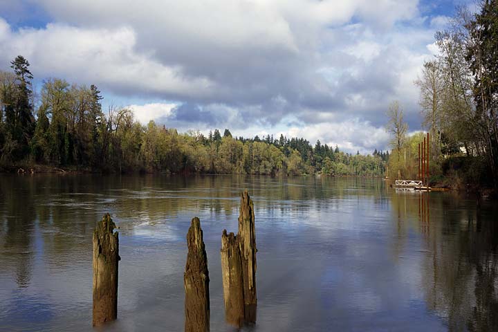 Willamette River and puffy clouds photo; Oregon river pictures from Clackamas County sold as framed art, canvas or digital files