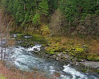 Wild and beautfiul Umpqua River