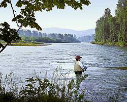 Bellinger Landing on the McKenzie River