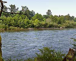 Bellinger Landing on the McKenzie River