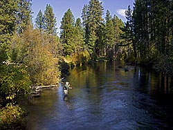 Fisherman on Metolius River