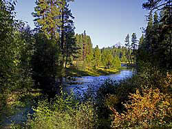 Springs of Cascades create Metolius River