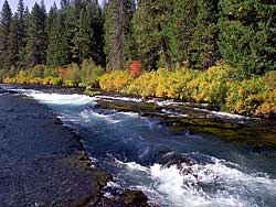 Wizard Falls on the Metolius River