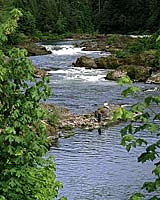 Fishermen on the Umpqua River