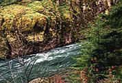 Umpqua River photo