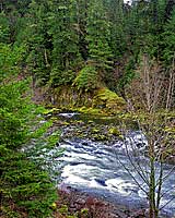 The Raw Umpqua River