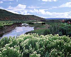 Cow Creek cowboys in Owyhee Uplands