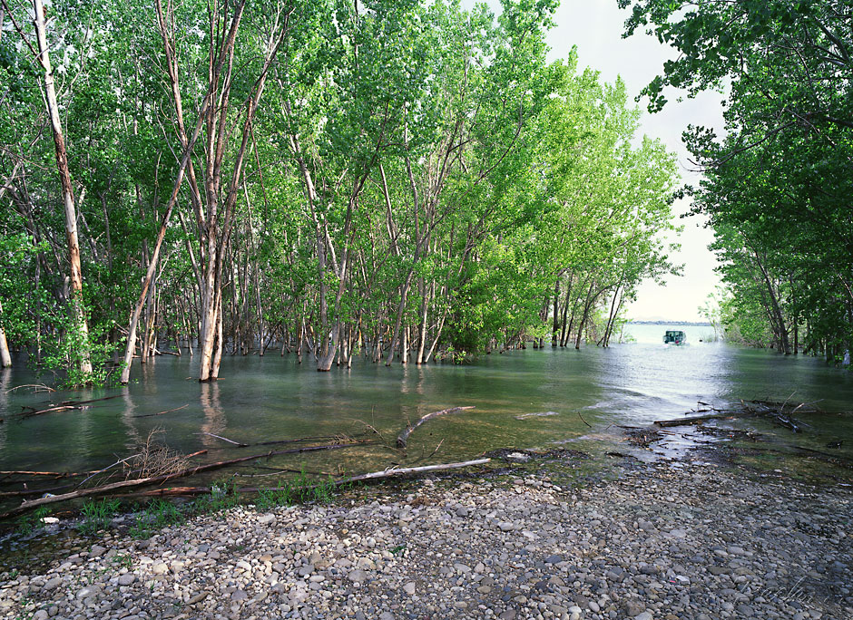 Aspens at Deer Flat National Wildlife Reserve on Lake Powell, Nampa Idaho