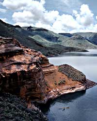 Geese on Owyhee Reservoir